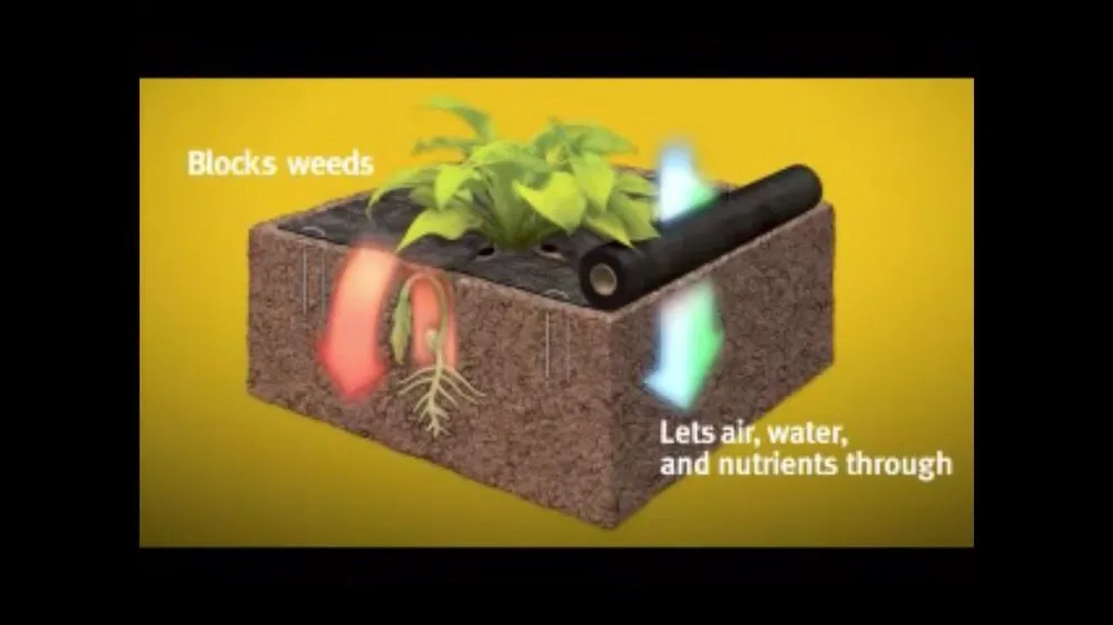 Expert lawn mowing service near you in Wilmington, DE by The Lawnscaper