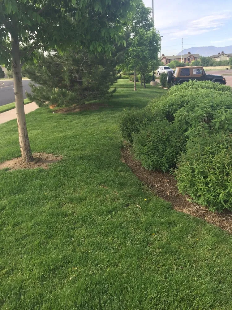 Expert lawn mowing service experts serving Colorado Springs, CO - The Lawnsmith