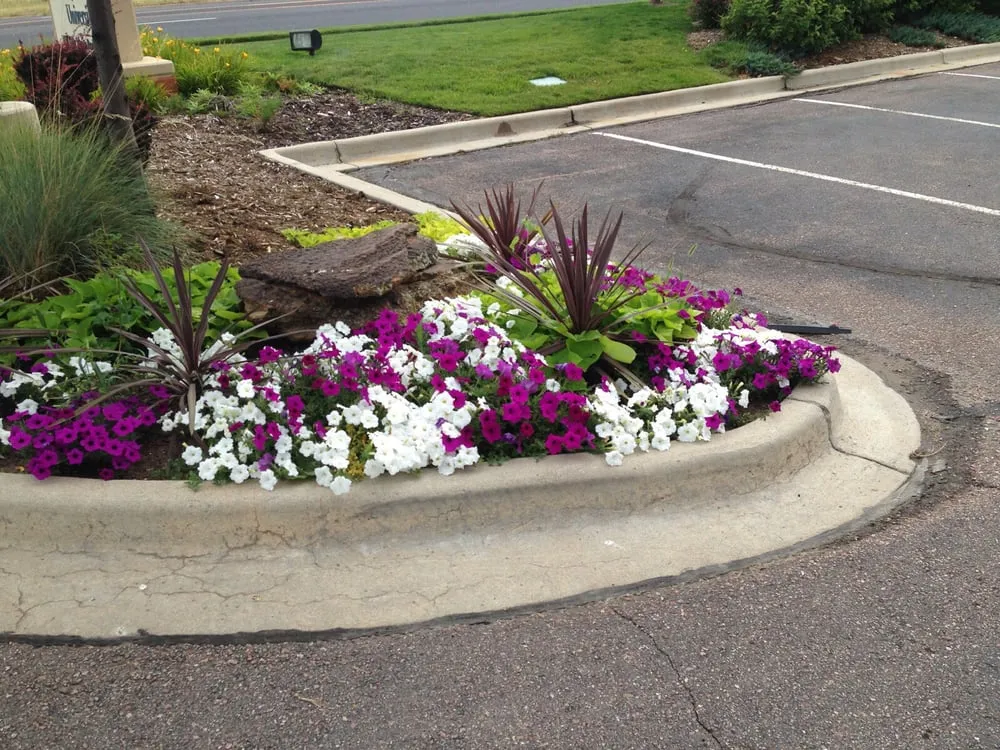 Trusted landscaping services for residential properties in Colorado Springs, CO by The Lawnsmith