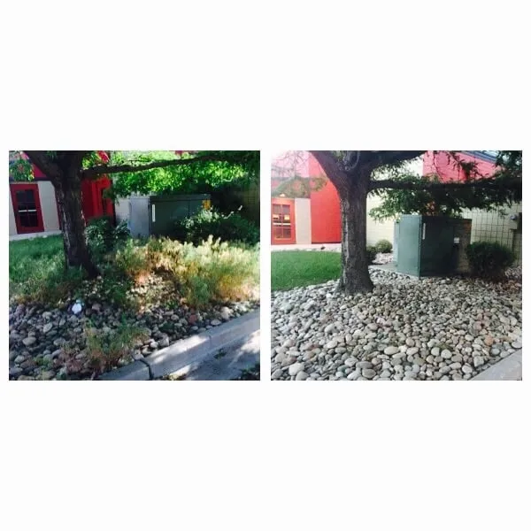 Affordable lawn mowing service in Colorado Springs, CO by The Lawnsmith