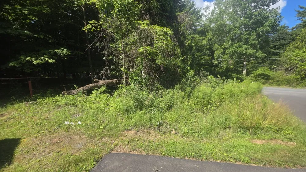 Expert lawn care service in Warrensburg, NY - The Lawntrapenuer