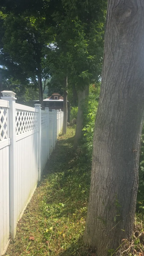 Professional yard maintenance for beautiful yards in Warrensburg, NY by The Lawntrapenuer