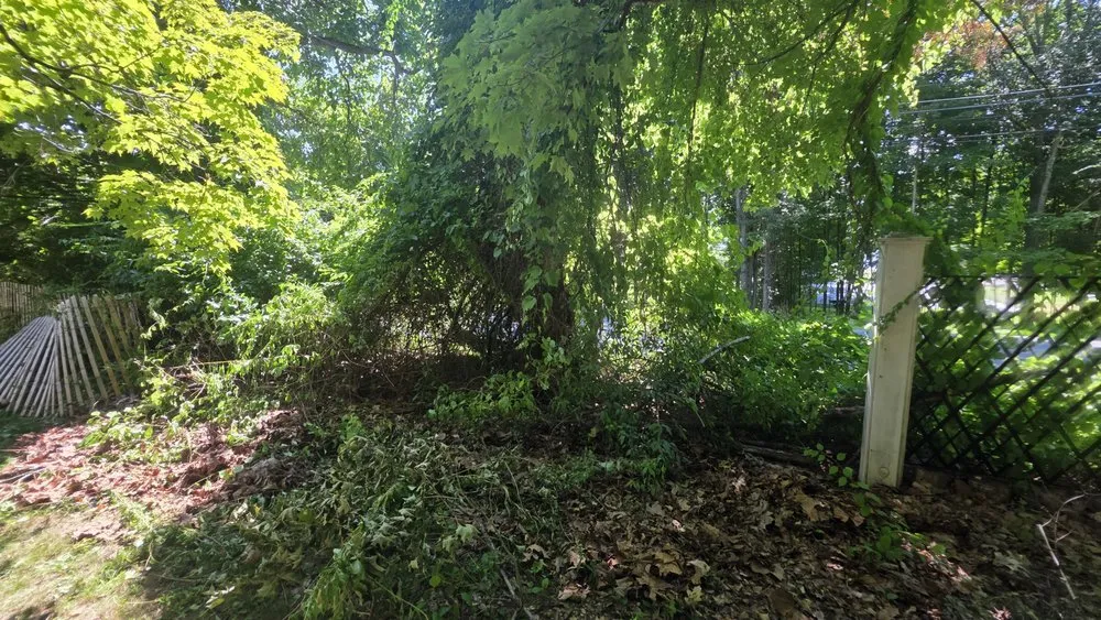 Professional landscape design in Warrensburg, NY - The Lawntrapenuer