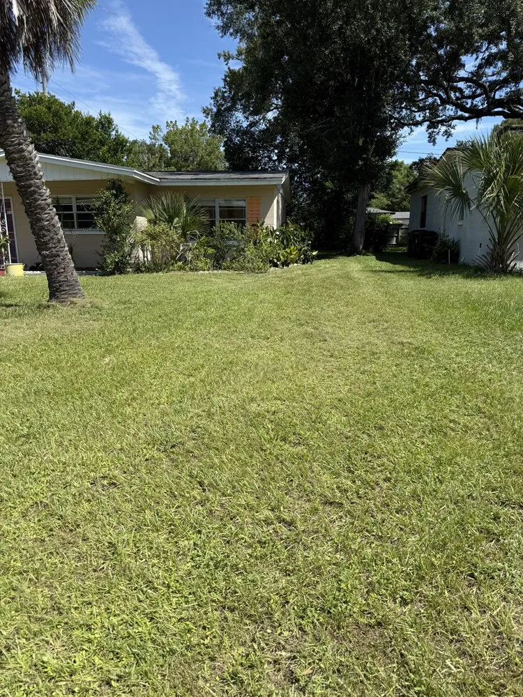 Professional outdoor landscaping in Alafaya, FL - The Legends Legacy Enterprise