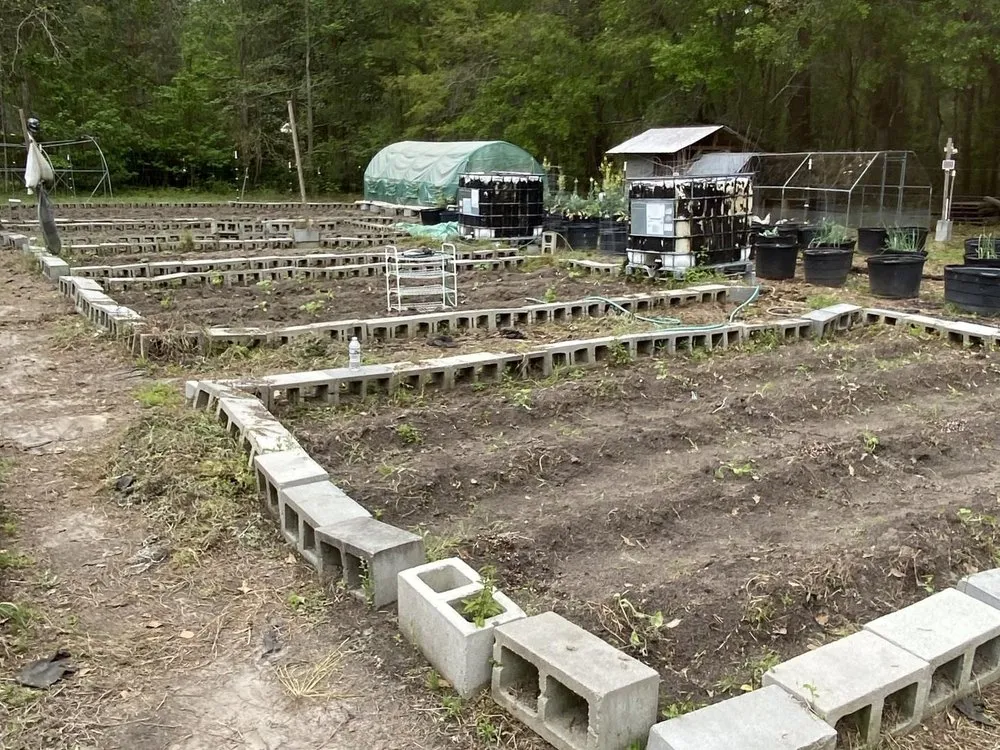 Top-rated garden landscaping experts serving Pooler, GA - The Life of the Garden