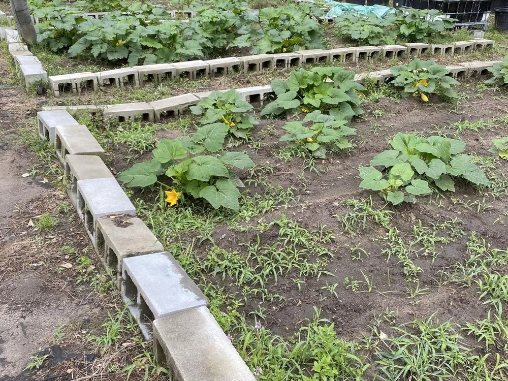 Reliable garden landscaping for outdoor upgrades in Pooler, GA by The Life of the Garden