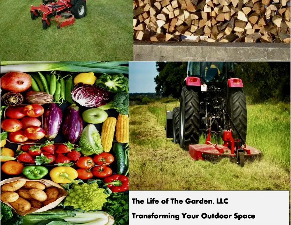 Expert outdoor landscaping for beautiful yards across Pooler, GA - The Life of the Garden