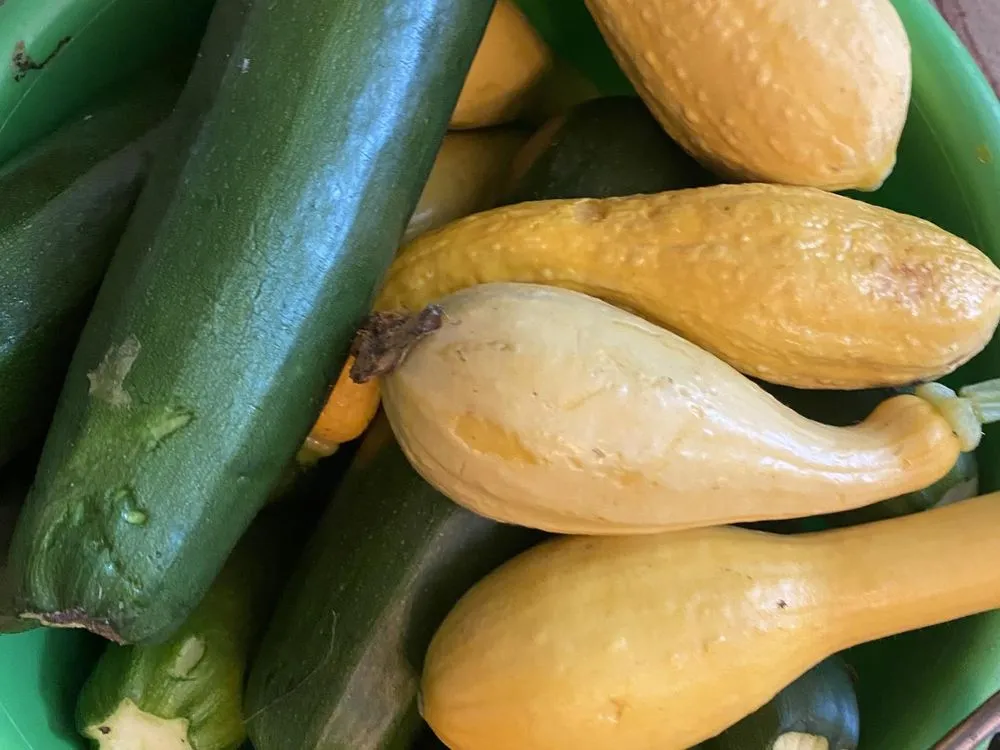 Affordable garden landscaping in Pooler, GA by The Life of the Garden