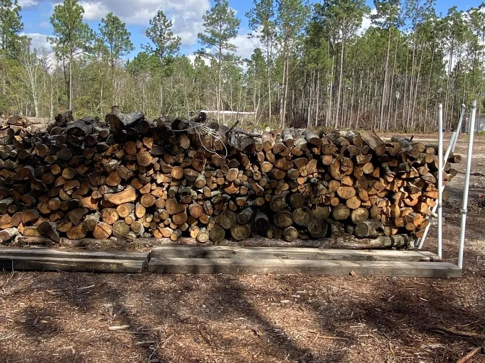 Expert residential landscaping in Pooler, GA by The Life of the Garden