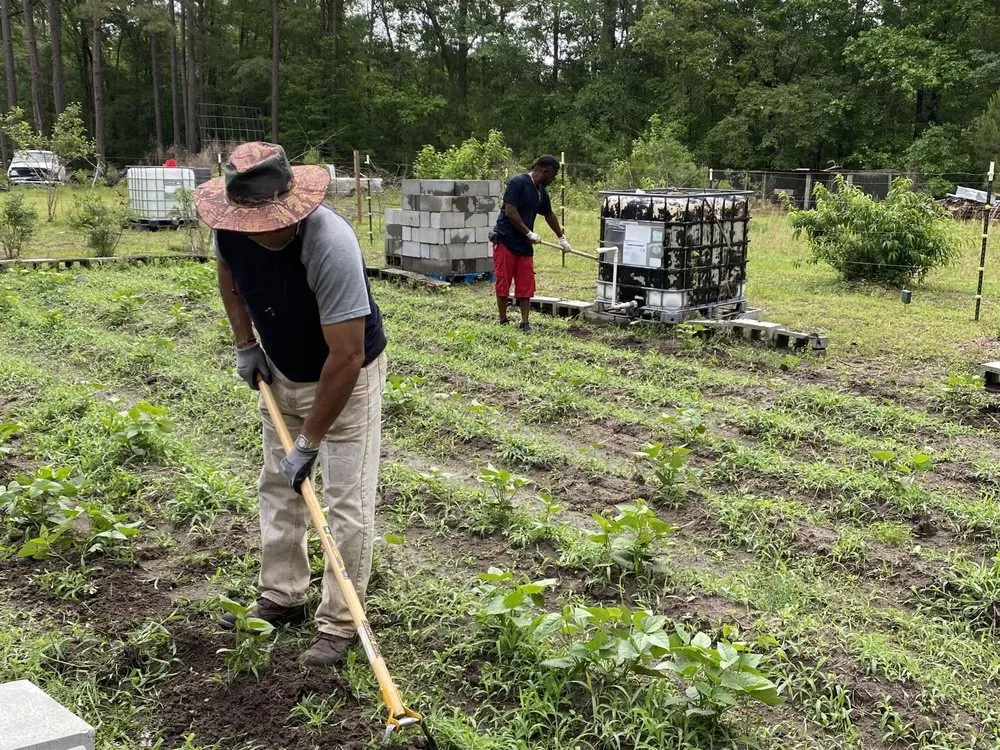 Reliable residential landscaping with custom design in Pooler, GA by The Life of the Garden