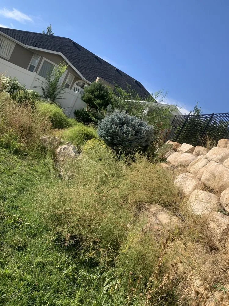 Trusted lawn care service for residential properties in Washington, UT by The Lifestyle Landscape