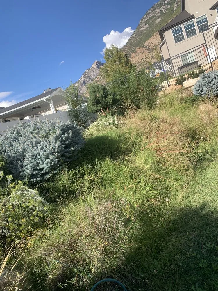 Top-rated landscape design in Washington, UT - The Lifestyle Landscape