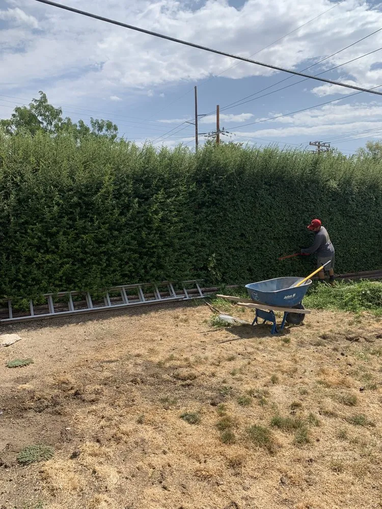 Professional yard maintenance for year-round maintenance in Washington, UT by The Lifestyle Landscape