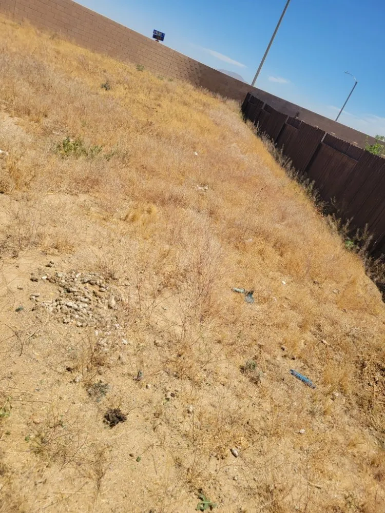 Professional outdoor landscaping for residential properties across Adelanto, CA - The Lion Landscaping