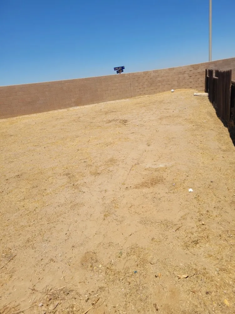 Local lawn mowing service in Adelanto, CA by The Lion Landscaping