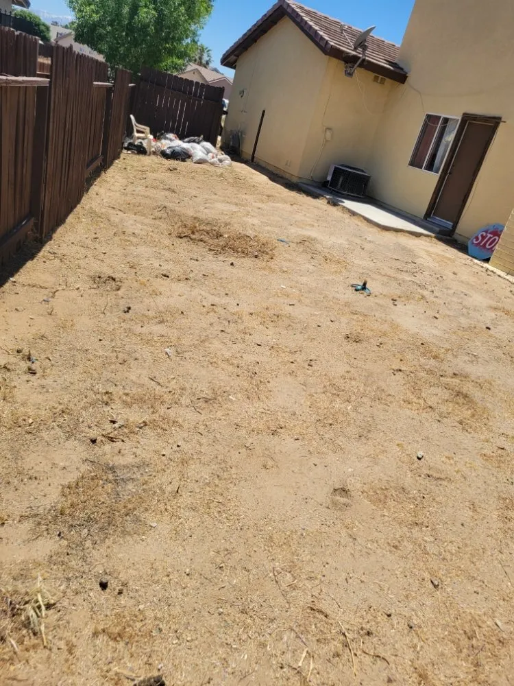 Local lawn care service in Adelanto, CA by The Lion Landscaping