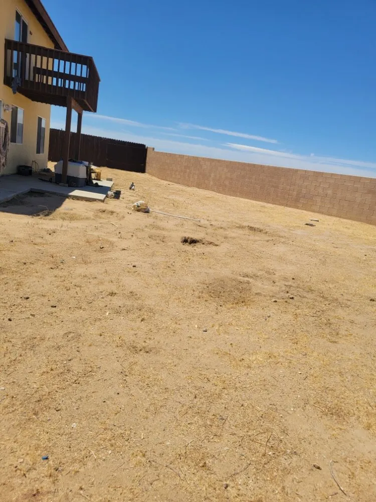 Custom yard cleanup service in Adelanto, CA by The Lion Landscaping