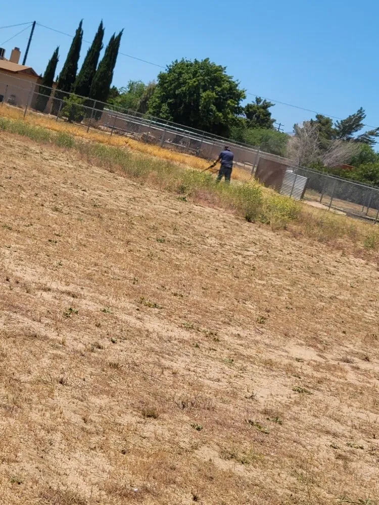 Top-rated lawn mowing service experts serving Adelanto, CA - The Lion Landscaping