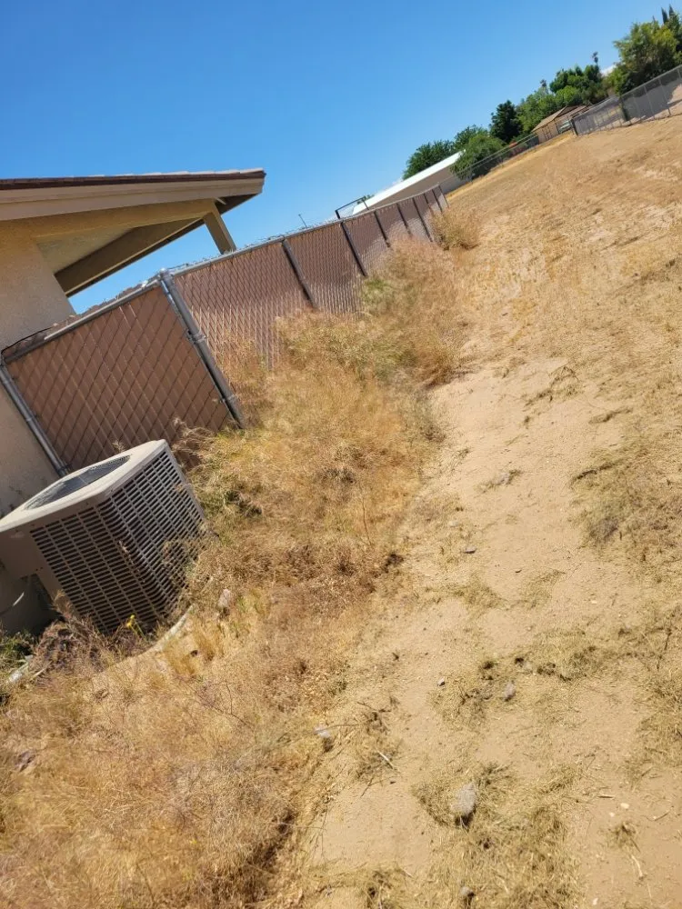 Affordable yard cleanup service in Adelanto, CA - The Lion Landscaping