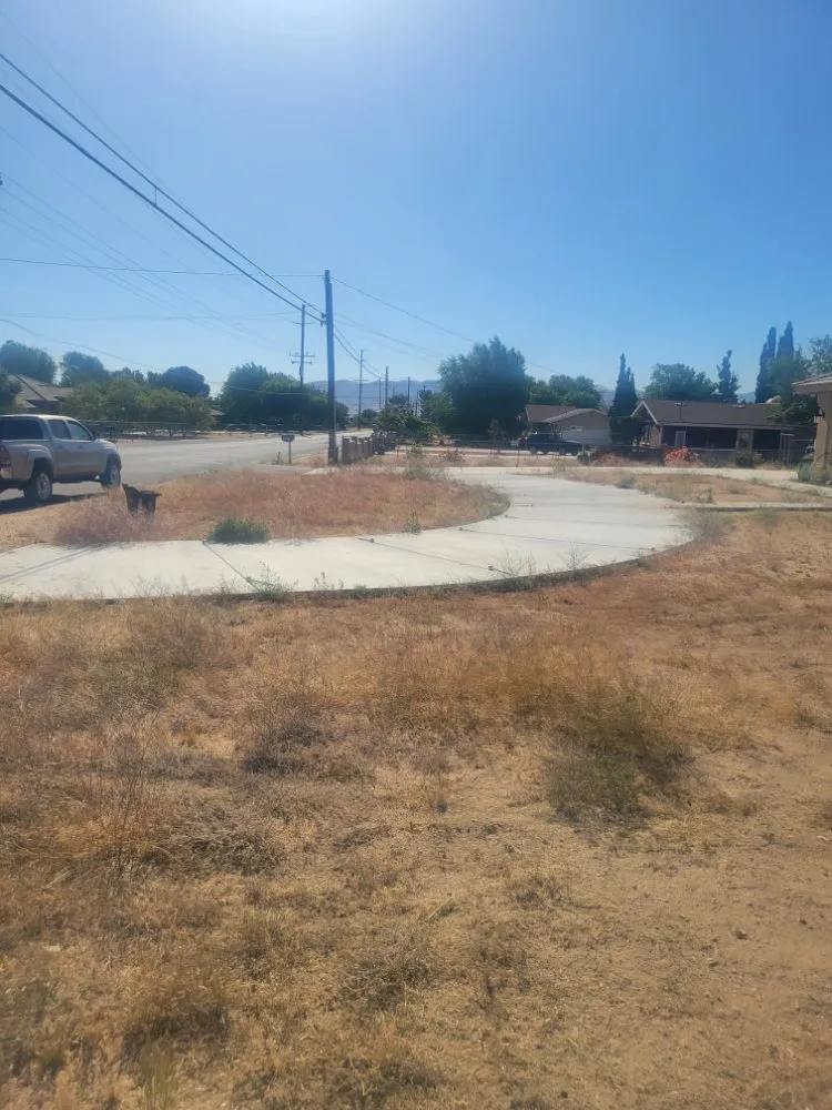 Trusted yard cleanup service in Adelanto, CA - The Lion Landscaping