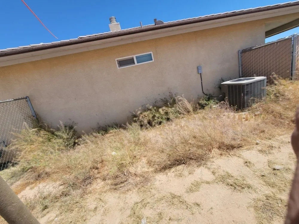 Professional lawn mowing service for outdoor upgrades in Adelanto, CA by The Lion Landscaping