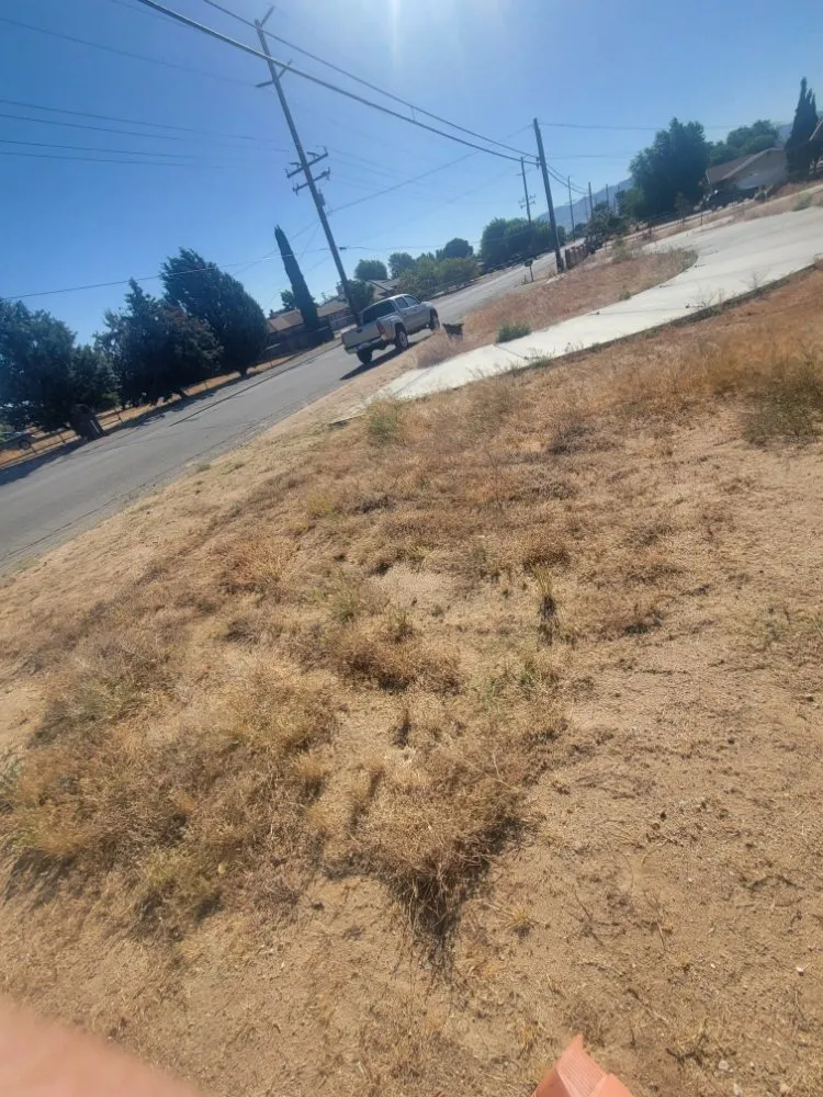 Affordable lawn mowing service experts serving Adelanto, CA - The Lion Landscaping