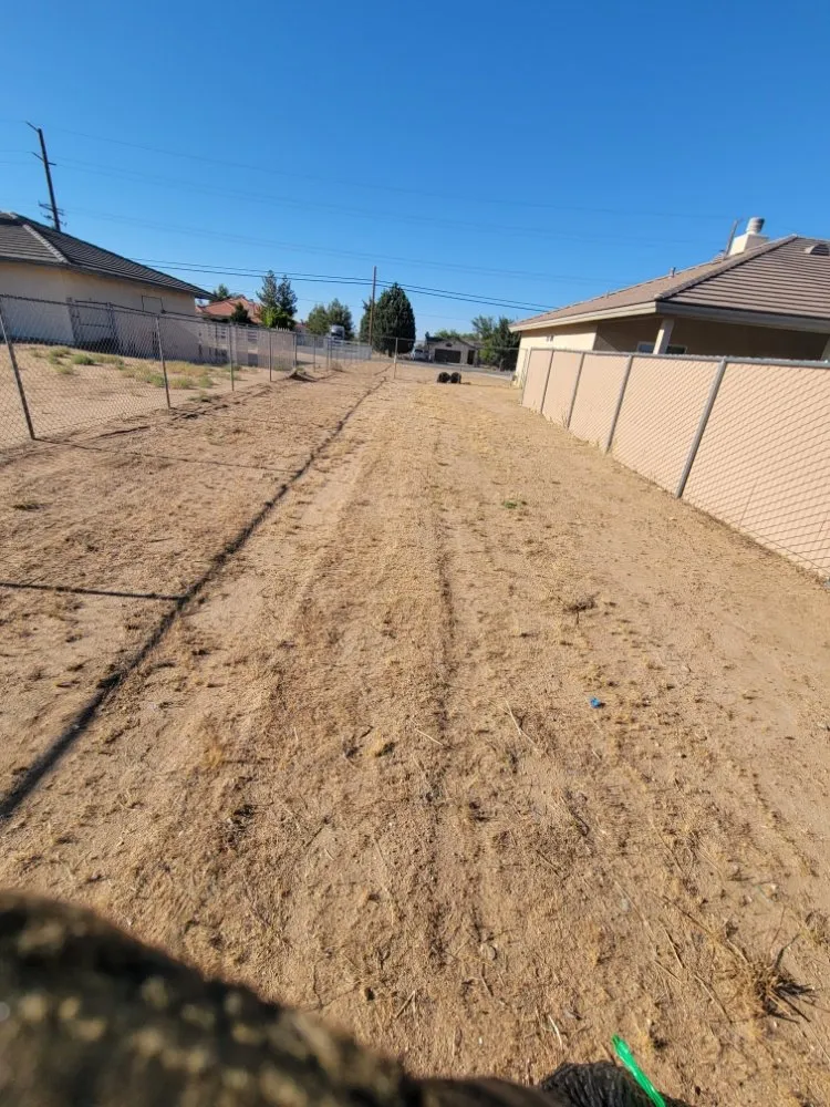 Affordable outdoor landscaping in Adelanto, CA - The Lion Landscaping