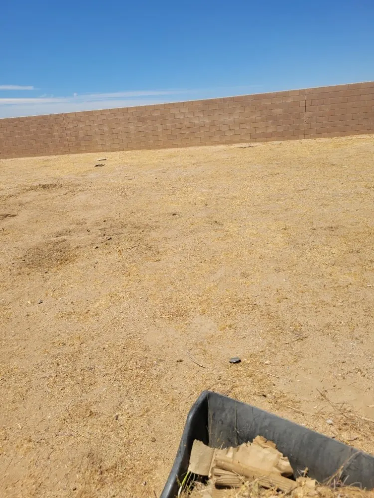 Trusted garden landscaping for beautiful yards in Adelanto, CA by The Lion Landscaping