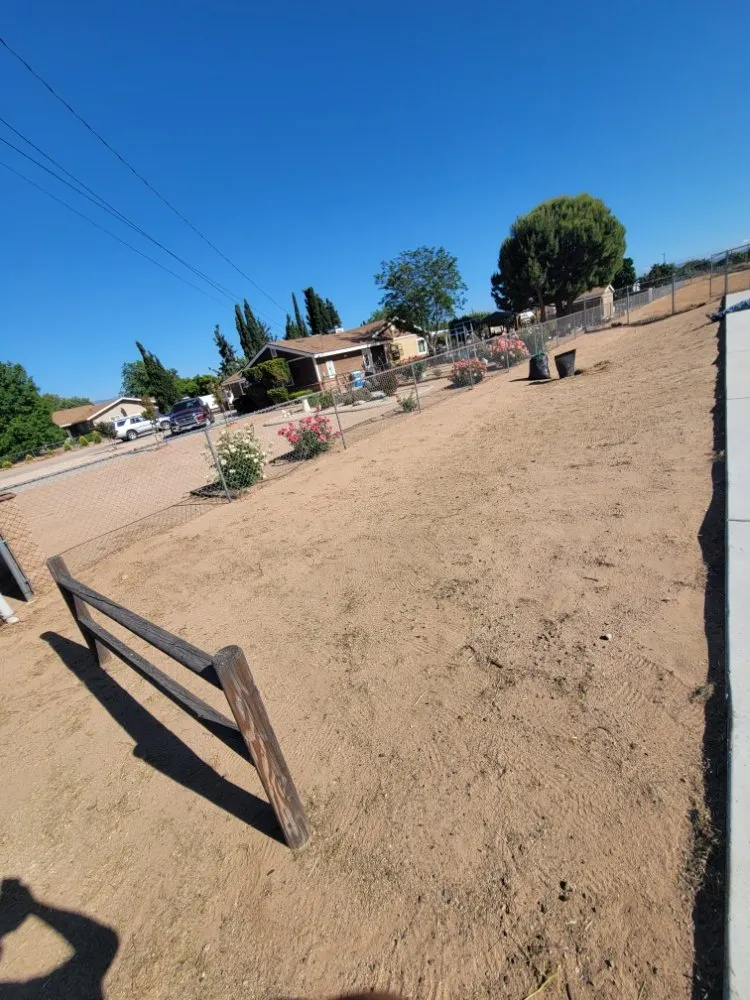 Affordable landscaping services for outdoor upgrades in Adelanto, CA by The Lion Landscaping