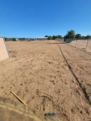 The Lion Landscaping