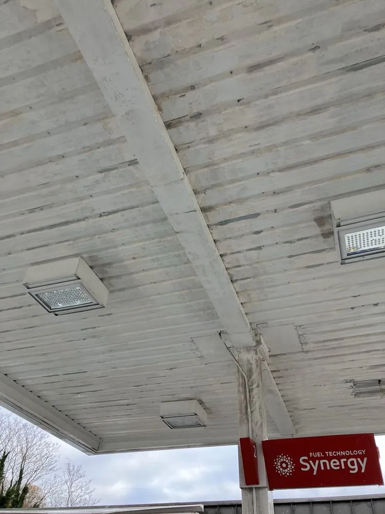 Expert yard cleanup service in Front Royal, VA - The Little Man's