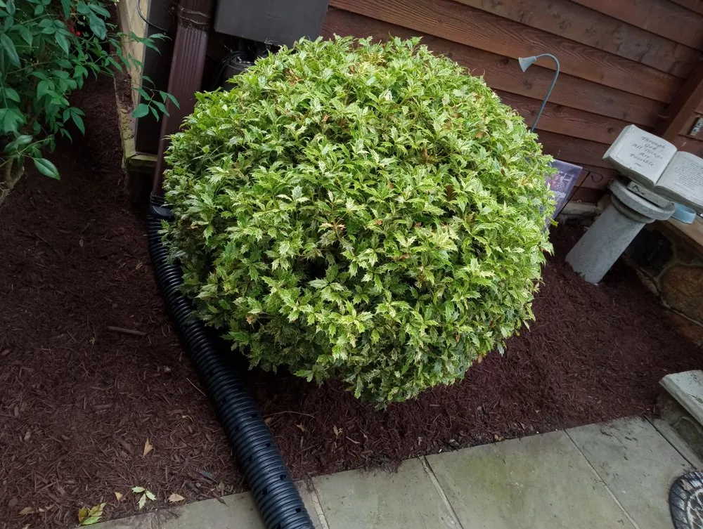 Reliable landscape design experts serving Front Royal, VA - The Little Man's