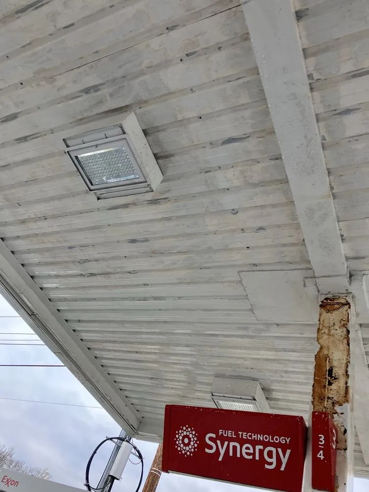 Professional yard cleanup service in Front Royal, VA - The Little Man's