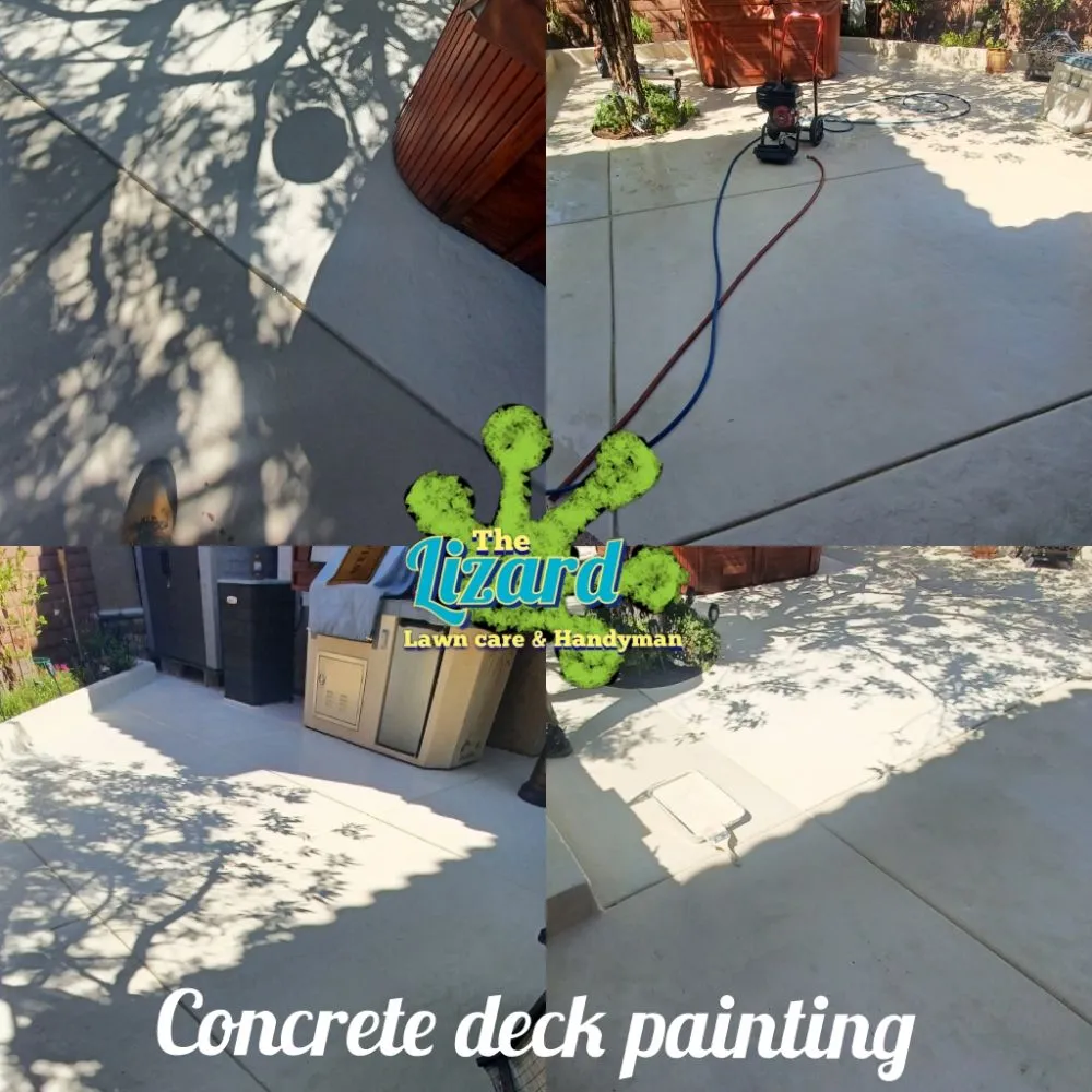 Reliable landscaping services in Las Vegas, NV by The Lizard Lawn Care & Handyman