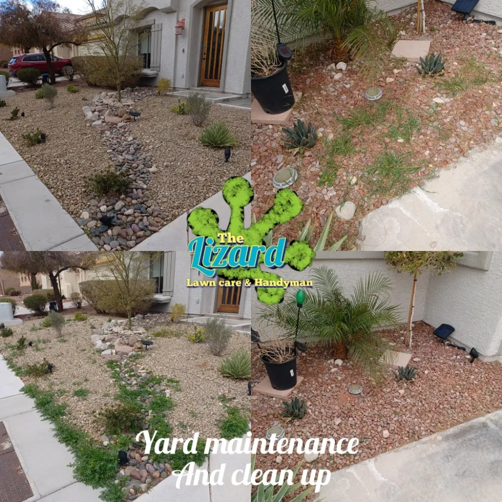 Professional garden landscaping experts serving Las Vegas, NV - The Lizard Lawn Care & Handyman