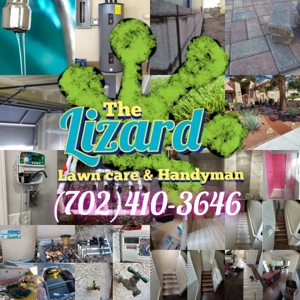 Top-rated yard maintenance in Las Vegas, NV by The Lizard Lawn Care & Handyman