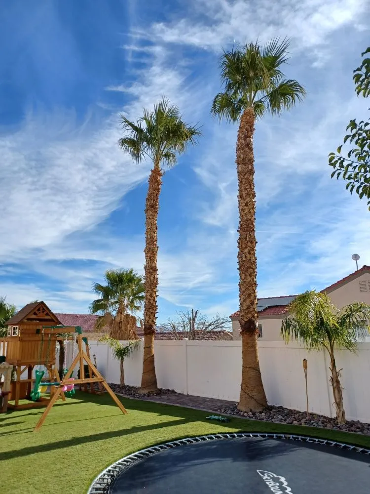 Custom landscape installation in Las Vegas, NV by The Lizard Lawn Care & Handyman