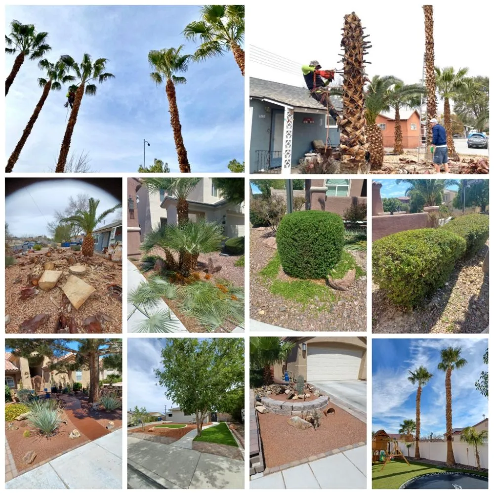 Custom residential landscaping in Las Vegas, NV - The Lizard Lawn Care & Handyman