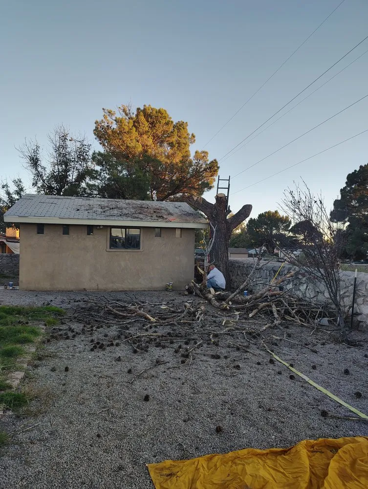 Local lawn care service in Las Cruces, NM by The Long Arm Tree Service