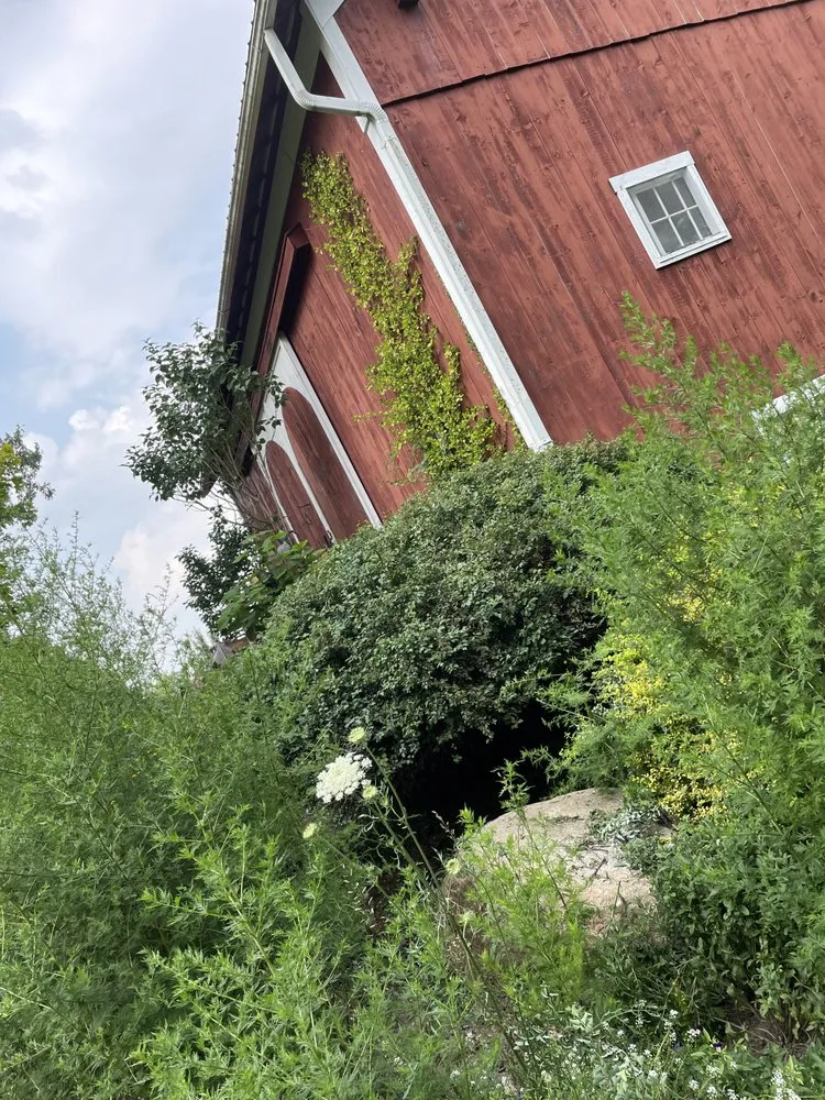 Reliable landscape installation in Lansing, MI by The Long Yard