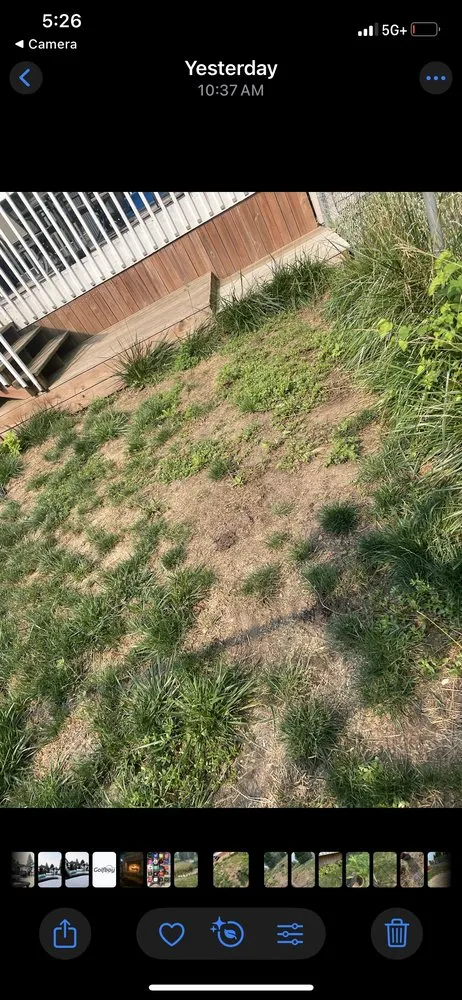 Professional lawn mowing service in Lansing, MI by The Long Yard