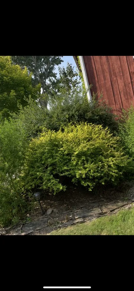 Top-rated landscape design experts serving Lansing, MI - The Long Yard