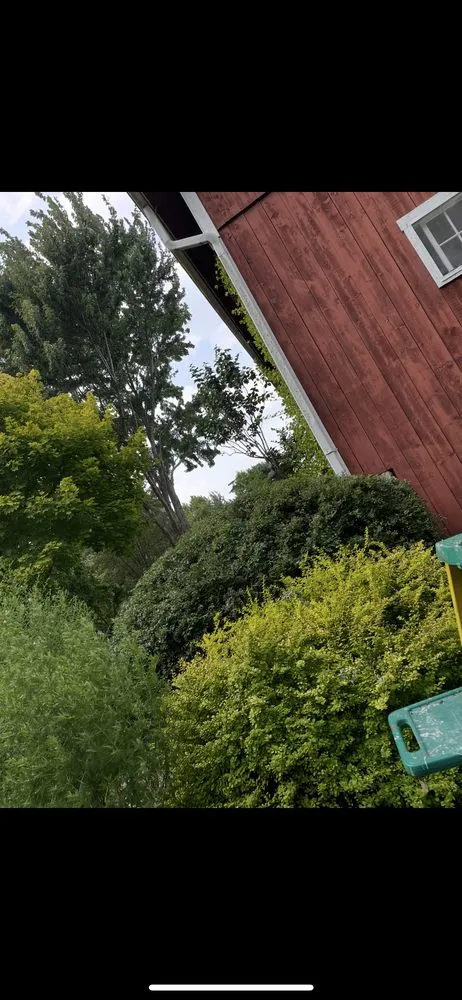 Expert yard cleanup service in Lansing, MI by The Long Yard