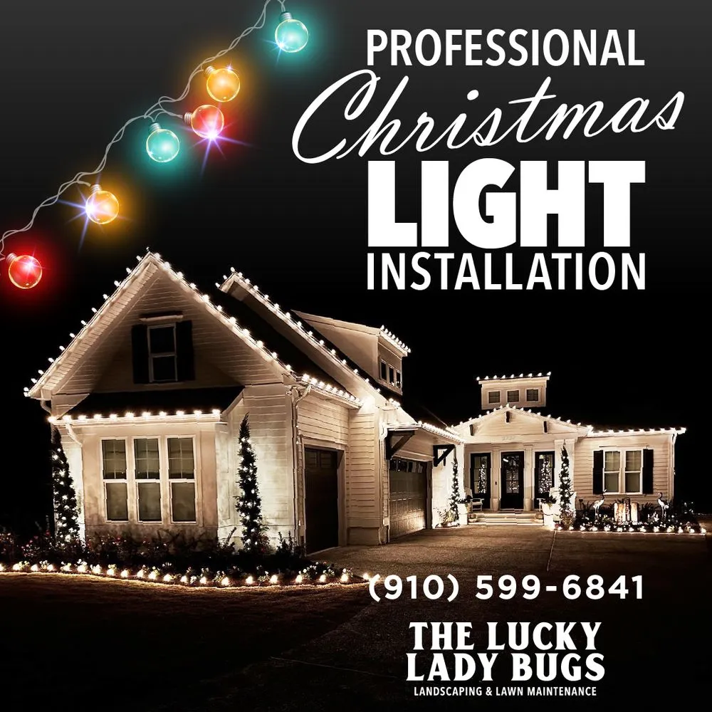Professional residential landscaping for outdoor upgrades across Wilmington, NC - The Lucky Lady Bugs