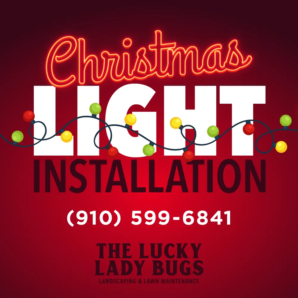 Top-rated landscaping services with custom design in Wilmington, NC by The Lucky Lady Bugs