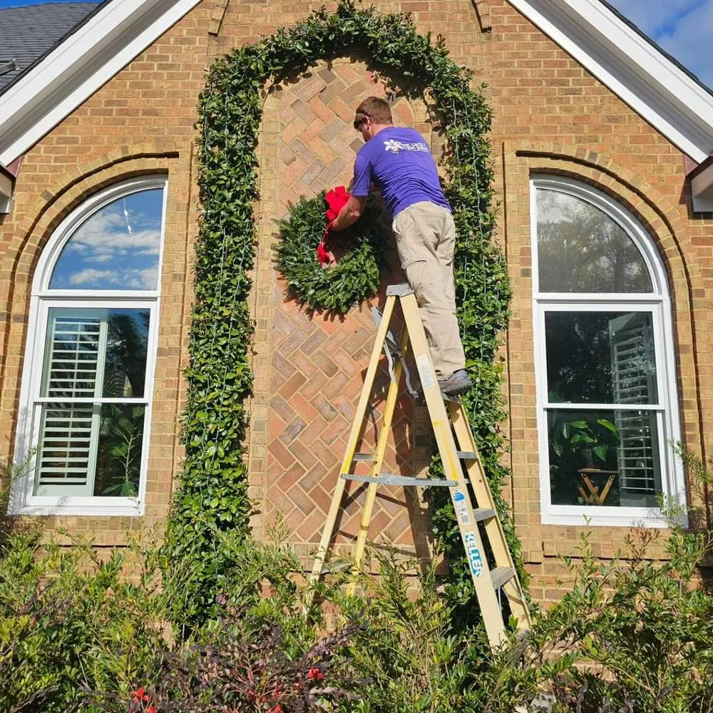 Top-rated yard cleanup service experts serving Wilmington, NC - The Lucky Lady Bugs
