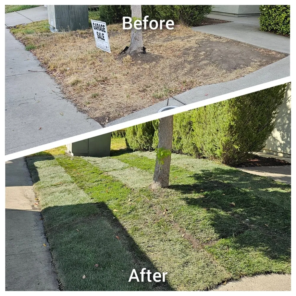 Expert landscaping services for homes across Cameron Park, CA - The Lucky Leprechaun Lawn & Land Care