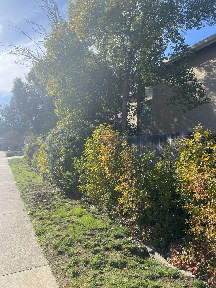 Trusted landscape installation near you across Cameron Park, CA - The Lucky Leprechaun Lawn & Land Care