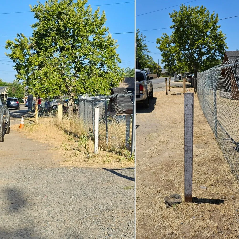 Professional yard cleanup service for homes in Cameron Park, CA by The Lucky Leprechaun Lawn & Land Care