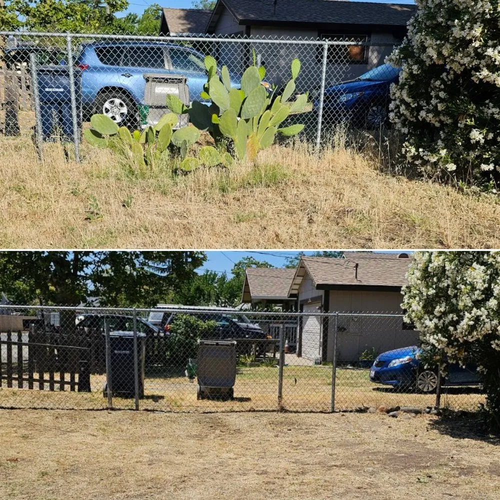 Trusted garden landscaping in Cameron Park, CA by The Lucky Leprechaun Lawn & Land Care